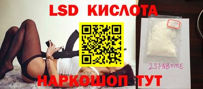 гидропоника Будённовск