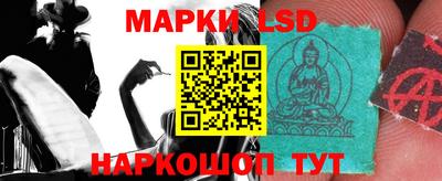 гидропоника Будённовск
