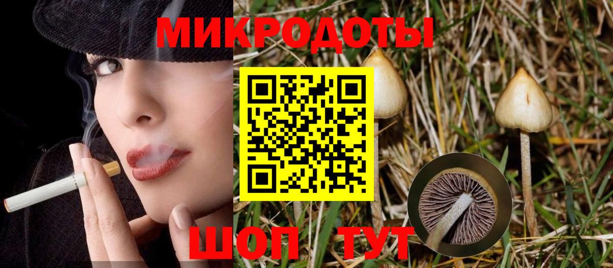 Псилоцибиновые грибы GOLDEN TEACHER Нижнекамск