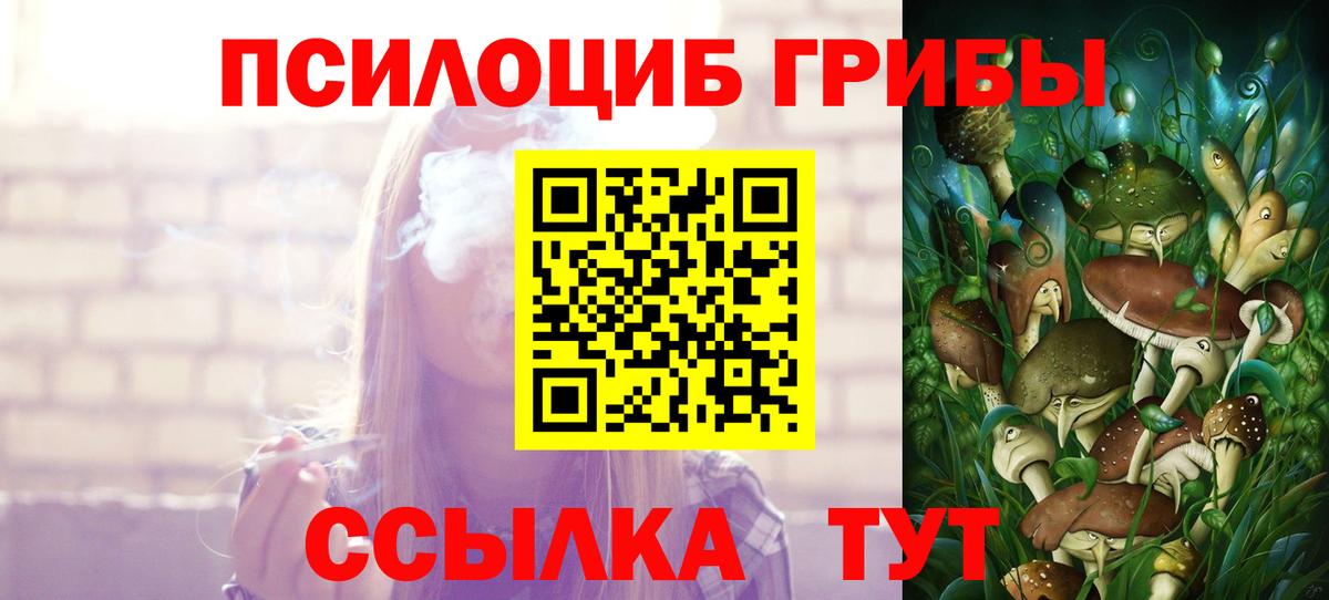 продажа наркотиков  Галлюциногенные грибы мицелий  Вход с VPN  Нижнекамск 